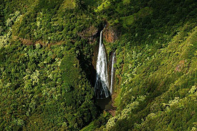 private-luxury-air-tour-over-kauai-2