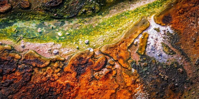 Private Luxury Auckland - Rotorua Geothermal Wonderlands - Who Would Love This Tour?