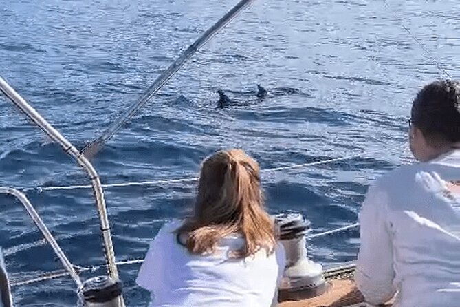 private-luxury-boat-excursion-tour-in-puerto-colon