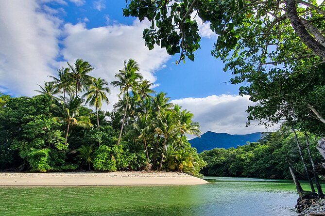 Private Luxury Daintree Dream Tour All Inclusive - Introduction: The Daintree Dream Tour – A Luxurious, Authentic Escape