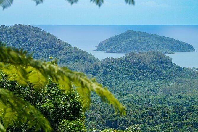 Private Luxury Daintree Dream Tour All Inclusive - Final Thoughts