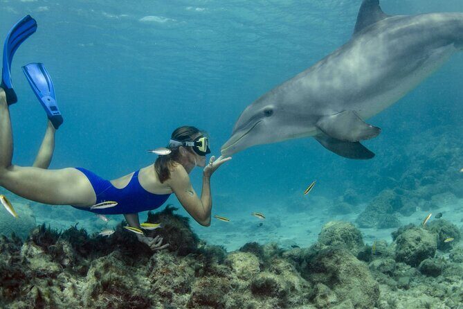 Private Luxury Dolphin House Boat Tour With Lunch - Hurghada - Key Points  