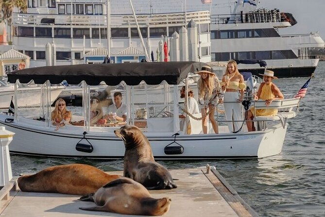 private-luxury-e-boat-cruise-with-wine-charcuterie-sea-lions-spotting-2