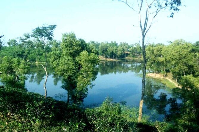 Private Luxury Escape: 2 Day Tea Gardens & Scenic Landscapes - Who Should Consider This Tour?