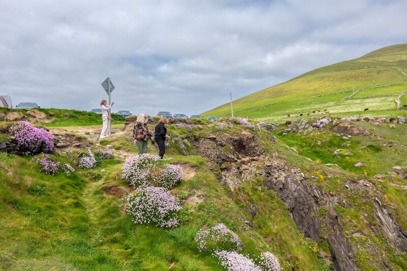 private-luxury-full-day-ring-of-kerry-tour-from-killarney-2