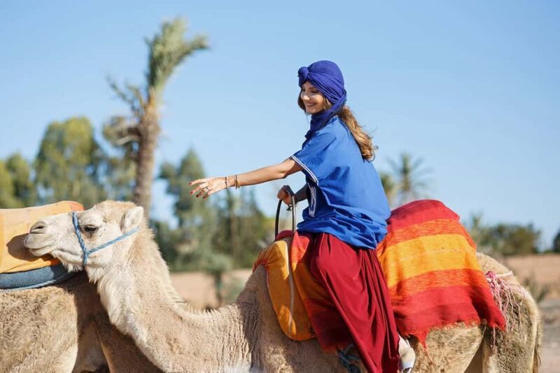 Private Luxury Marrakech Desert Tours 7 Days - Key Points