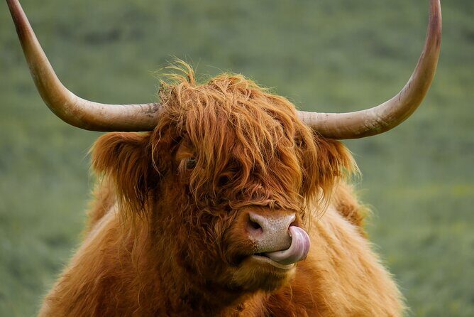 Private Luxury Mini Highlands Tour From Edinburgh - Braveheart - FAQs
