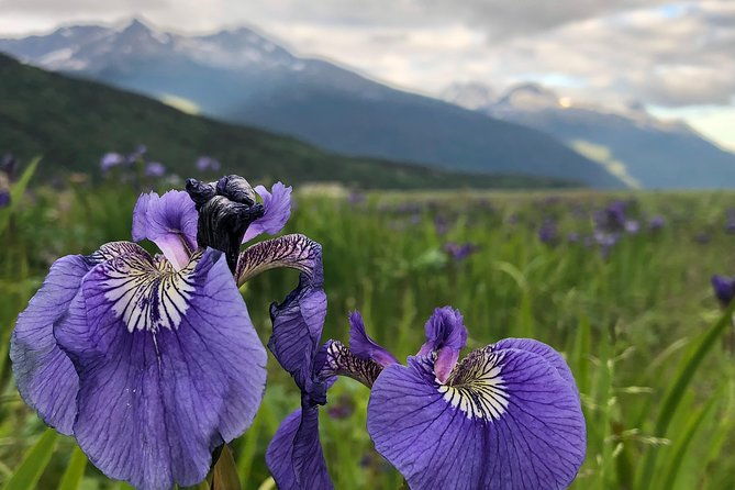 private-luxury-shore-excursion-skagway-ak-to-emerald-lake-yukon-2