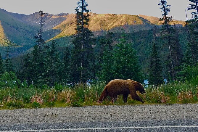 private-luxury-shore-excursion-skagway-ak-to-emerald-lake-yukon