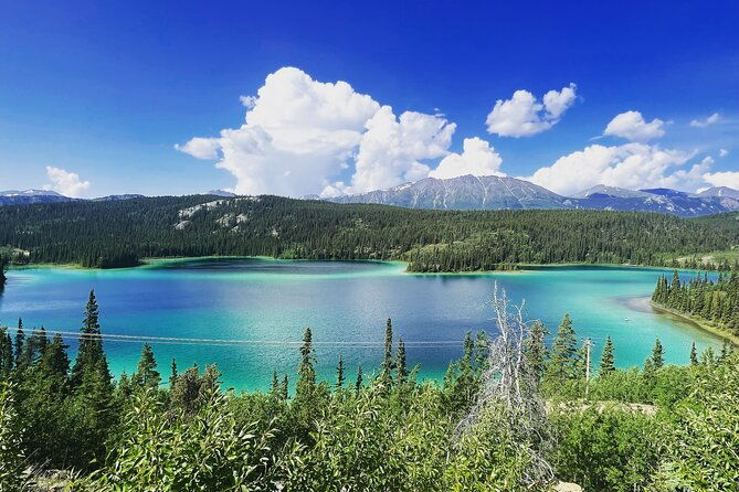 private-luxury-shore-excursion-skagway-ak-to-emerald-lake-yukon