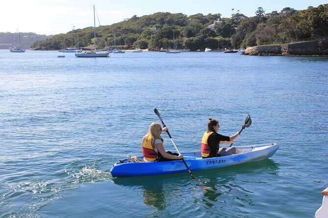 Private Luxury Sydney Harbour Cruise - Highlights of the Experience
