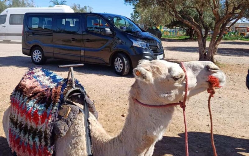 Private Luxury Tangier Desert Tours 6 Days - An In-Depth Look at the 6-Day Private Luxury Tour