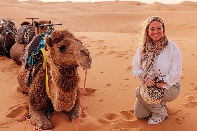 Private Luxury Tents ,Camel ride and Sandboard in Merzouga Desert - Key Points