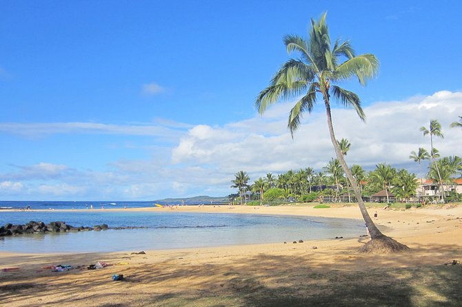 private-luxury-tour-of-kauai-south-west-shores-2