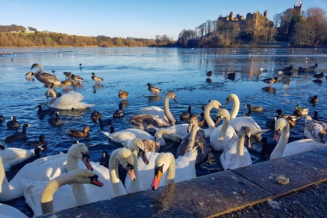 private-luxury-tour-of-loch-lomond-oban-glencoe-the-highlands