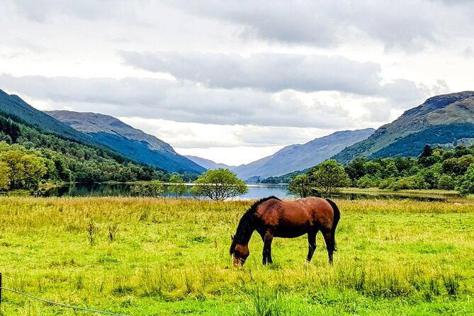 private-luxury-tour-of-the-highlands-and-loch-ness-from-glasgow