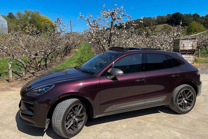 Private Luxury Tour: Penfolds Estate Heritage & Hills Picnic - Starting Point: Adelaide Pick-up