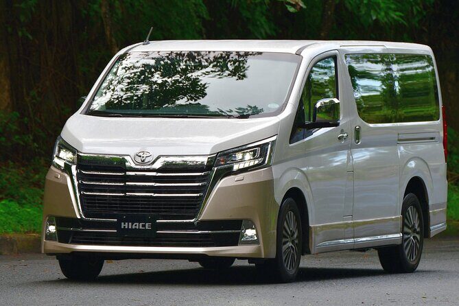 Private Luxury Transfer From Luxor Airport To Hotel - Authentic Insights from Reviewers