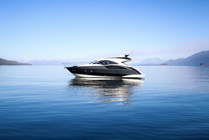 Private Luxury Whale Watch - What to Expect from Your Private Alaska Whale Watch
