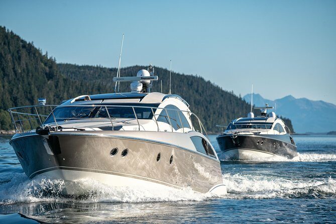 Private Luxury Whale Watch - Who Should Consider This Tour?