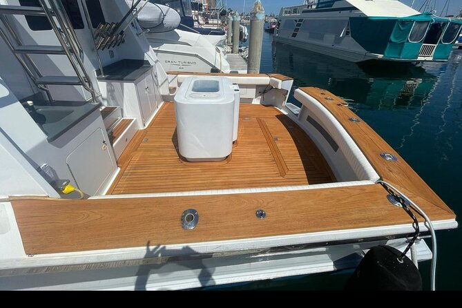 private-luxury-whale-watching-tour-in-san-diego