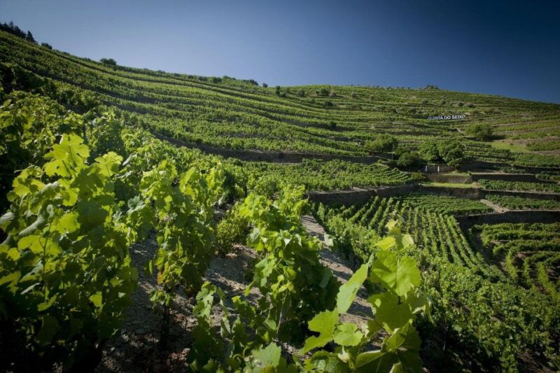 private-luxury-wine-food-tour-in-douro