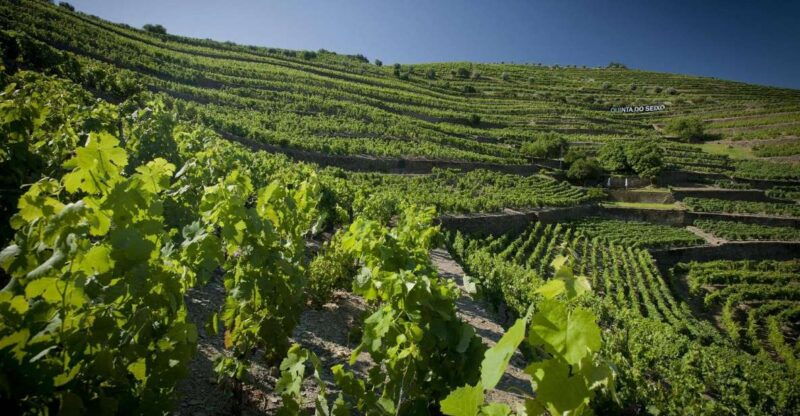 private-luxury-wine-food-tour-in-douro