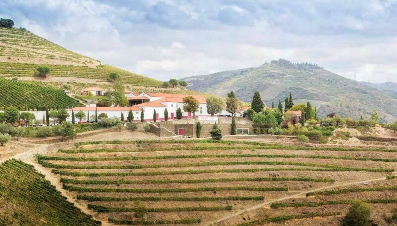 private-luxury-wine-food-tour-in-douro