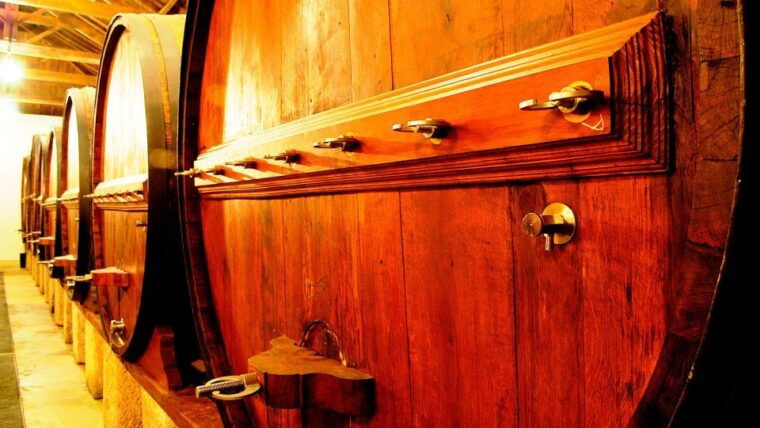 private-luxury-wine-food-tour-in-douro