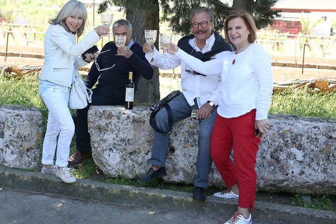 private-luxury-wine-tour-in-ancient-nemea-and-vineyards