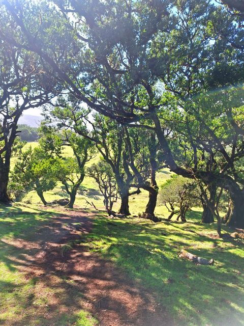 private-madeira-complete-full-day-tour