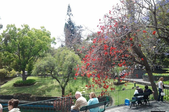 private-madeira-tour-up-to-4-people