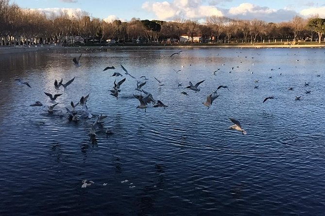 private-madrid-fullday-guided-tour-with-dlx-car