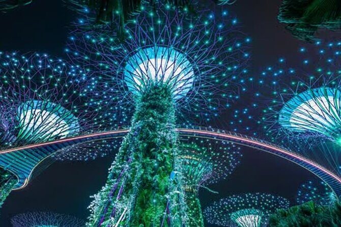 Private :Magical Nights in River Cruises and Stunning Light Shows - Who Should Book This Experience?