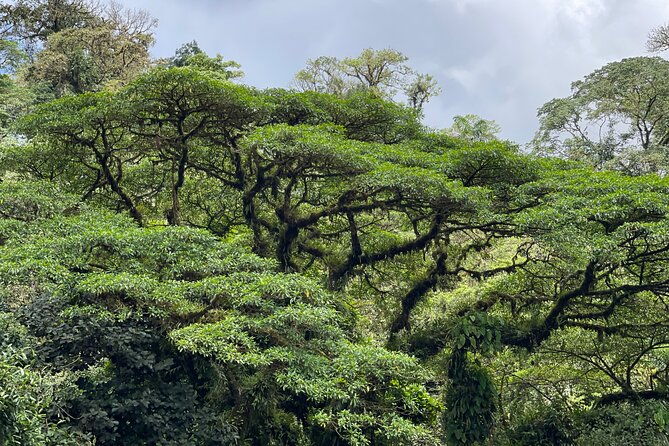 private-manuel-antonio-national-park