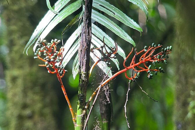 private-manuel-antonio-national-park
