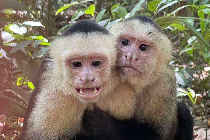 private-manuel-antonio-national-park