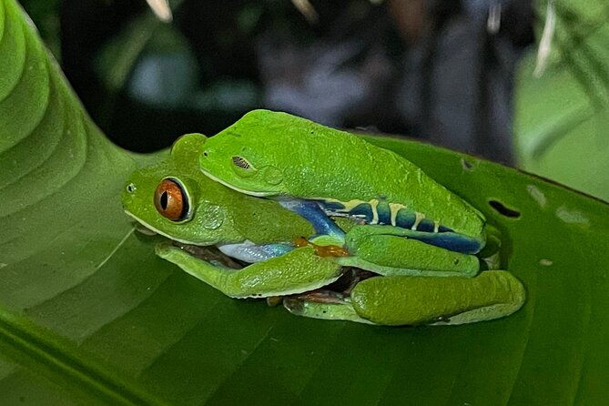 private-manuel-antonio-national-park