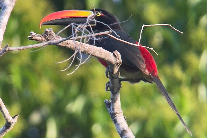 private-manuel-antonio-national-park