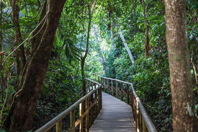 private-manuel-antonio-national-park-guided-walk