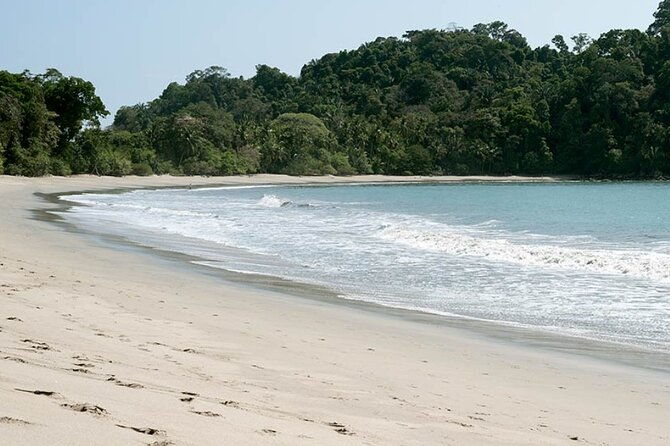 private-manuel-antonio-national-park-guided-walk