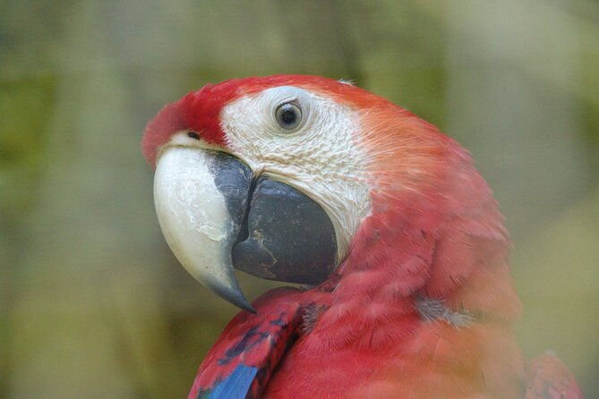 private-manuel-antonio-national-park-guided-walk