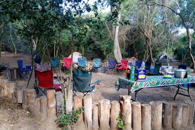 Private Maputo National Park Safari Day Tour with Pickup - Frequently Asked Questions