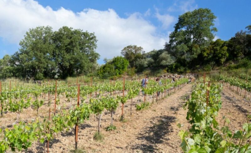 Private : Margarites village-Arkadi Monastery-Patsos Gorge - Final Thoughts