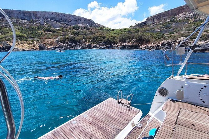 private-marine-life-spotting-dolphin-watching-ecomarine-malta