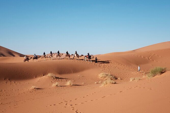 Private Marrakech Desert tour to Fes - The Itinerary Breakdown: What to Expect