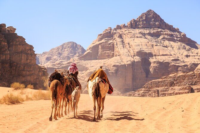 Private Martian Wadi Rum Overnight Bedouin Experience from Amman - The Sum Up