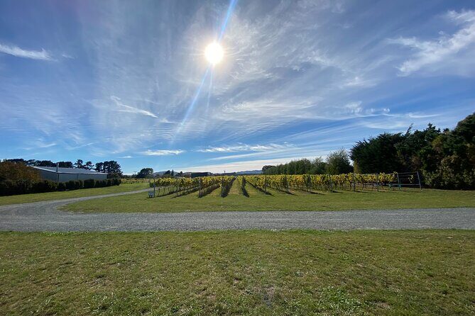 Private Martinborough Wine Tour for Wine Enthusiasts - FAQ