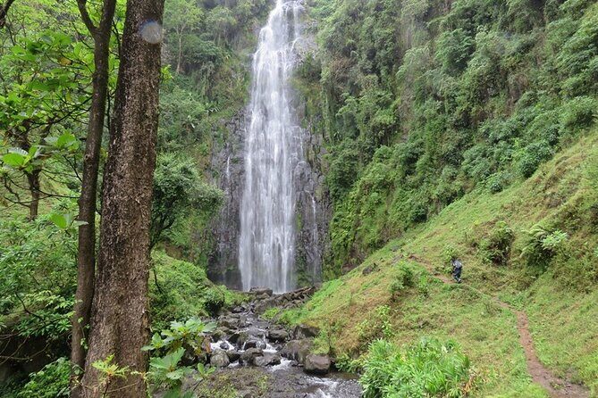 Private Materuni and Chemka Hotspring Tour - Key Points