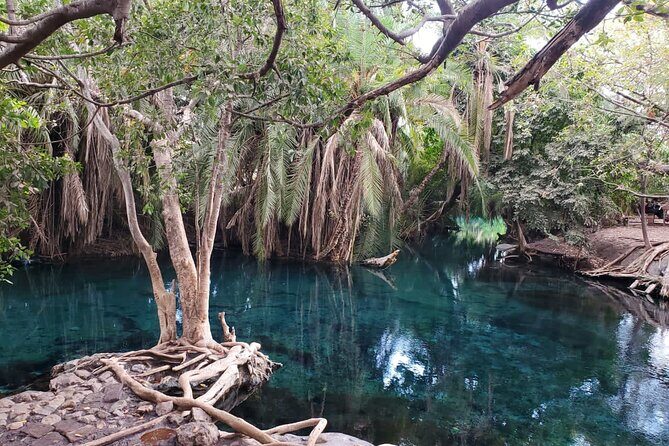 Private Materuni and Chemka Hotspring Tour - What to Expect from the Tour